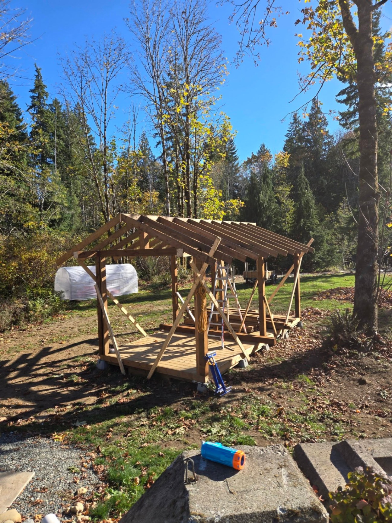 Timber pergola build in the forest